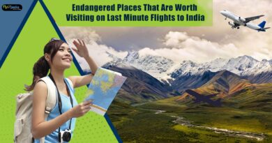 Endangered-Places-That-Are-Worth