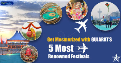 Get Mesmerized with Gujarat's 5 Most Renowned Festivals