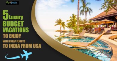 5-Luxury-Budget-Vacations-to-Enjoy-with-Cheap-Flights-to-India-from-USA