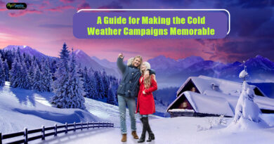 A-Guide-for-Making-the-Cold