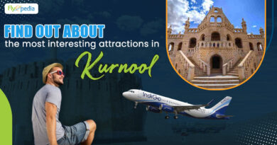 Find out about the most interesting attractions in Kurnool