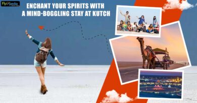 Enchant Your Spirits With