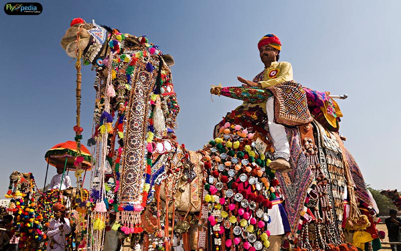 Pushkar Fair Rajasthan