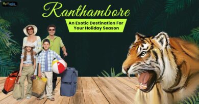 Ranthambore An exotic destination for your holiday season