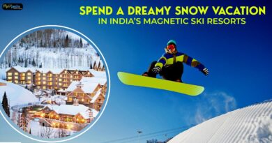 Spend a Dreamy Snow Vacation