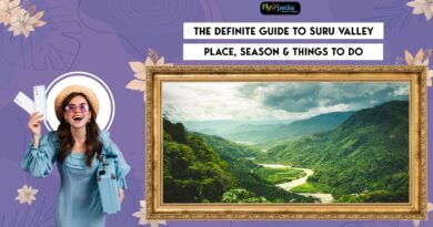 The Definite Guide to Suru Valley