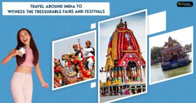 Travel Around India to