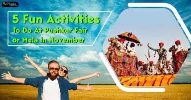 5 Fun Activities