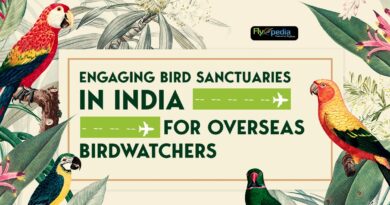 Engaging Bird Sanctuaries
