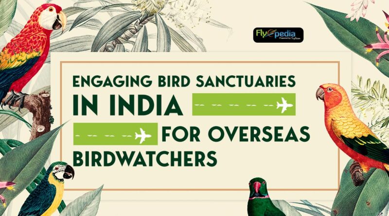 Engaging Bird Sanctuaries