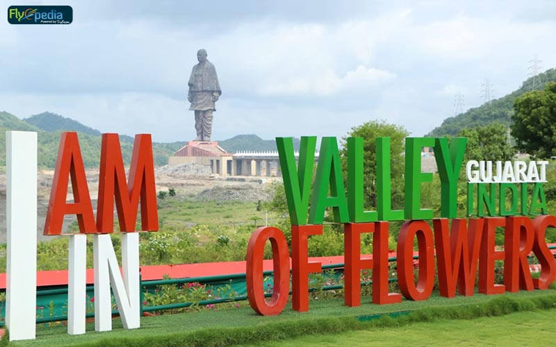 Get the mind refreshing aroma at Valley of flowers Get the mind refreshing aroma at Valley of flowers