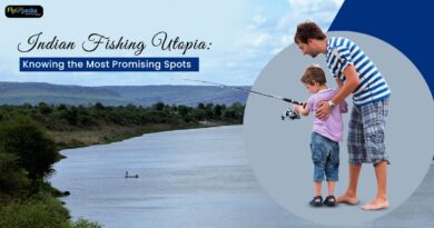 Indian Fishing Utopia Knowing the Most Promising Spots
