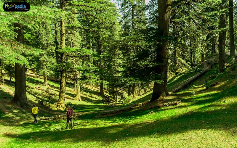 kalatop wildlife sanctuary