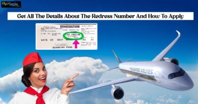 Get All The Details About The Redress Number And How To Apply