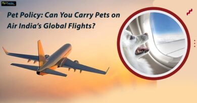 Pet Policy Can You Carry Pets on Air India Global Flights