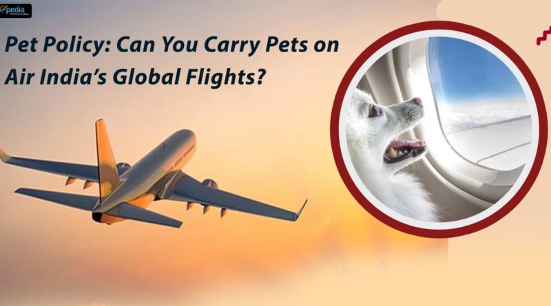 Pet Policy Can You Carry Pets on Air India Global Flights