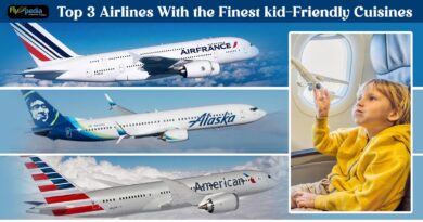Top 3 Airlines With the Finest kid Friendly Cuisines