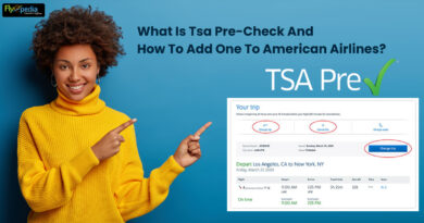 What Is Tsa Pre Check And How To Add One To American Airlines