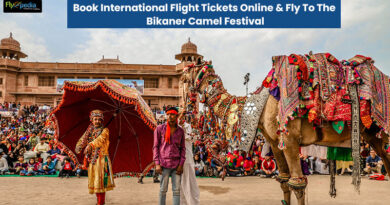 Book International Flight Tickets Online Fly To The