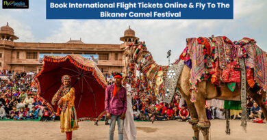 Book International Flight Tickets Online Fly To The