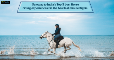 Gateway to Indias Top 5 best Horse