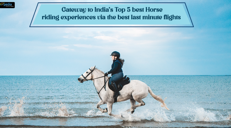 Gateway to Indias Top 5 best Horse