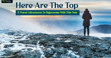 Here Are The Top 5 Travel Adventures To Rejuvenate With This Year