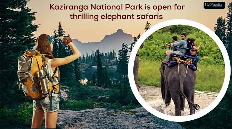 Kaziranga National Park is open for