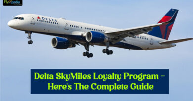 Delta SkyMiles Loyalty Program Heres The Complete Guide