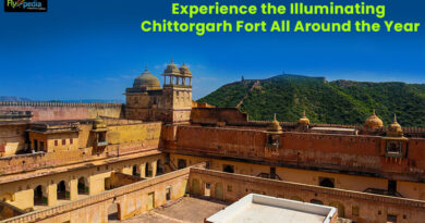 Experience the Illuminating