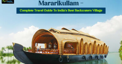 Mararikullam Complete Travel Guide To Indias Best Backwaters Village
