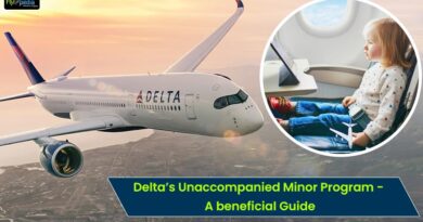 Deltas Unaccompanied Minor Program A beneficial Guide