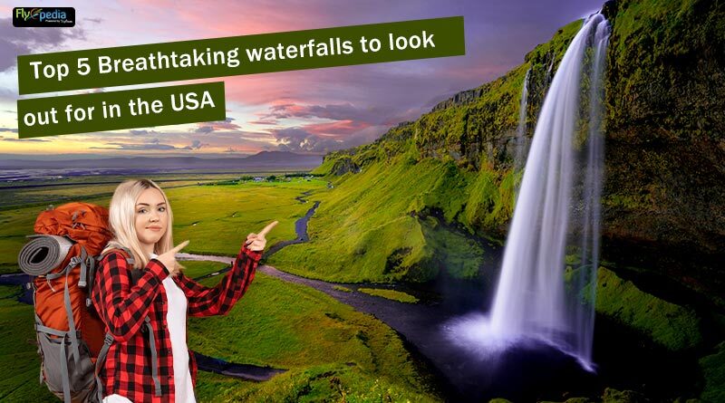 Top 5 Breathtaking waterfalls to look out for in the USA