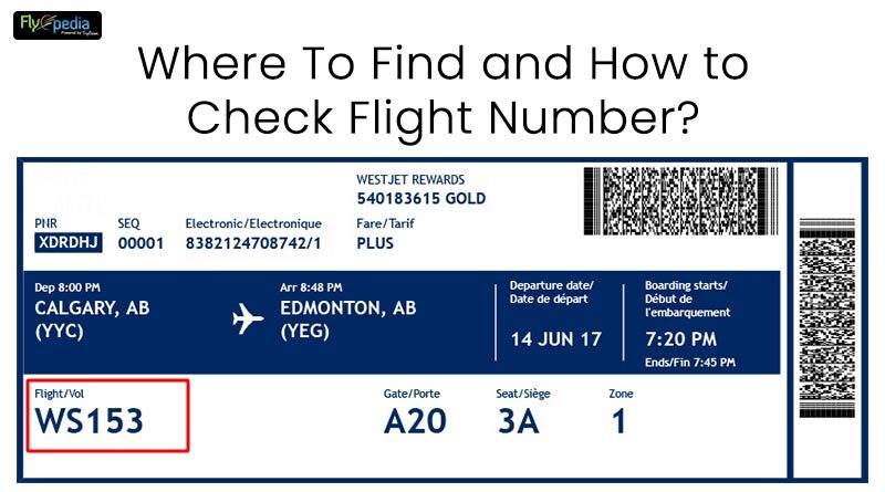 Where To Find and How to Check Flight Number