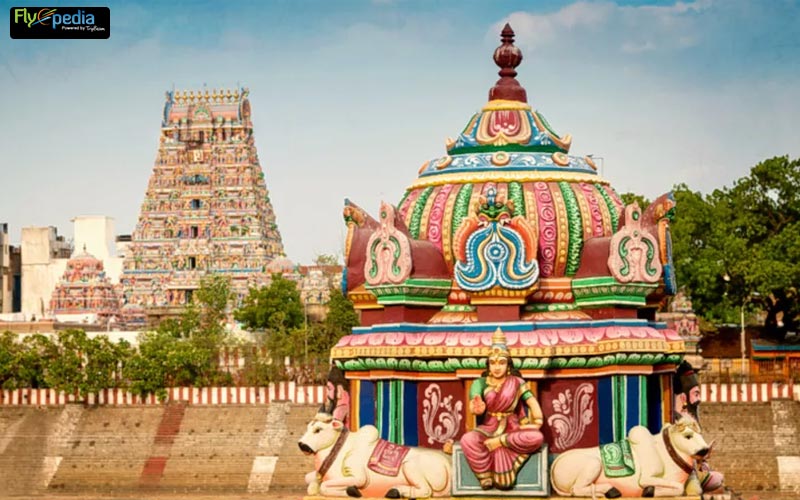 best time to explore chennai