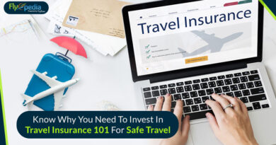 Know Why You Need To Invest In Travel Insurance 101 For Safe Travel