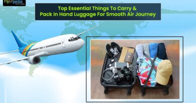 Top Essential Things To Carry Pack In Hand Luggage For Smooth Air Journey