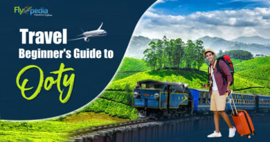 Travel Beginner's Guide to Ooty
