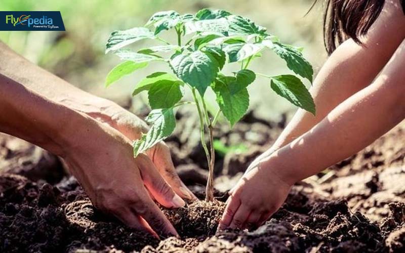 Van Mahotsav (National Tree Planting Festival)