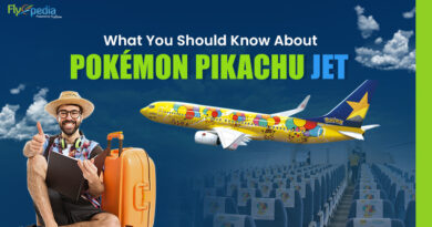 What You Should Know About Pokémon Pikachu Jet