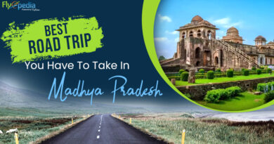 Best Road Trips You Have To Take In Madhya Pradesh