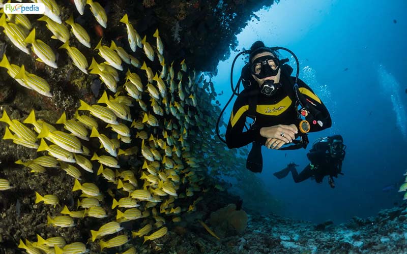 Scuba Diving at Havelock Island