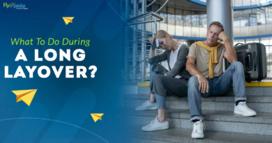 What To Do During A Long Layover