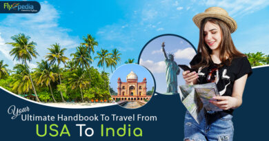 Your Ultimate Handbook To Travel From USA To India