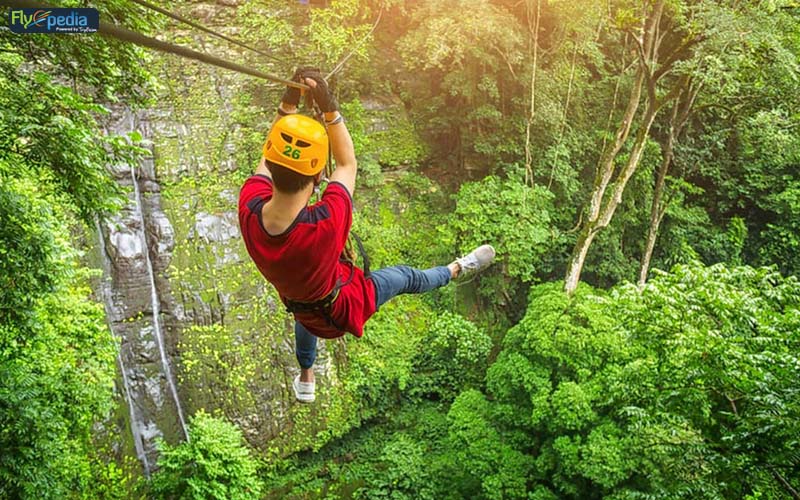 Zip Lining and Paragliding