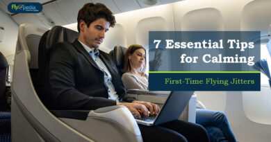 7 Essential Tips for Calming First Time Flying Jitters