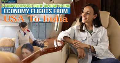 A Comprehensive Guide On How To Find Economy Flights From USA To India