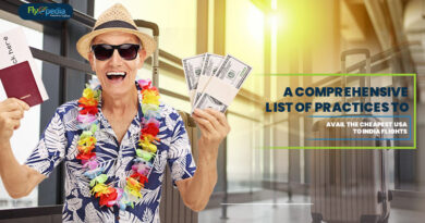 A Comprehensive List Of Practices To Avail The Cheapest USA To India Flights