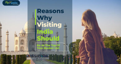 Reasons Why Visiting India Should Be At The Top Of Your Bucket List
