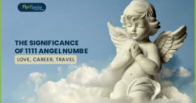 The Significance Of 1111 Angel Number Love Career Travel